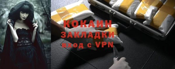 индика Аркадак
