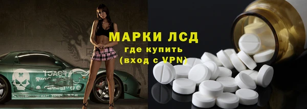 индика Аркадак