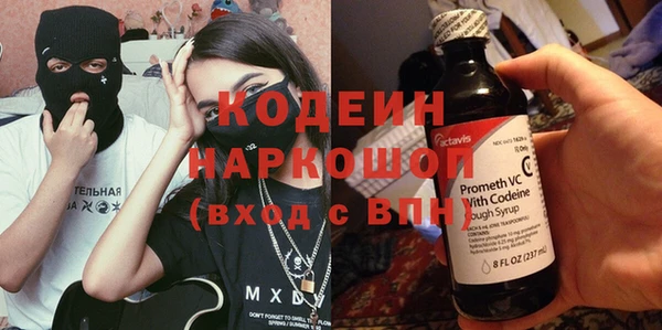 индика Аркадак