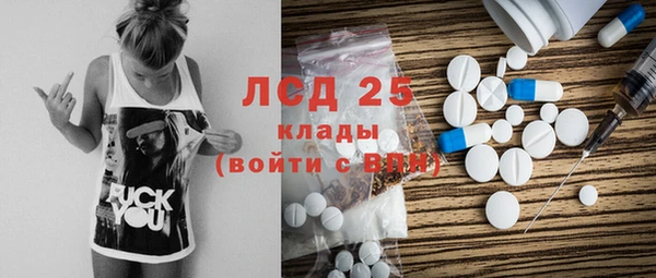 индика Аркадак