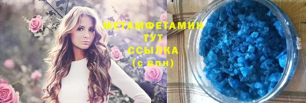 индика Аркадак