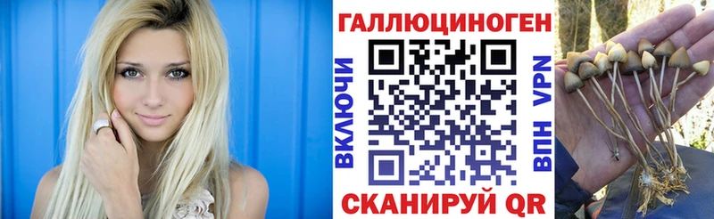 Купить  Сольцы  Галлюциногенные грибы GOLDEN TEACHER 